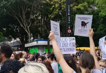 Centenas de pessoas em São Paulo pedem justiça pelo cão Orelha centenas-de-pessoas-em-sao-paulo-pedem-justica-pelo-cao-orelha