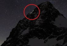 Quem paga a conta da irresponsabilidade na natureza? quem-paga-a-conta-da-irresponsabilidade-na-natureza?