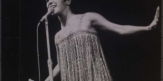 viva-maria-celebra-81-anos-do-nascimento-de-elis-regina viva-maria-celebra-81-anos-do-nascimento-de-elis-regina