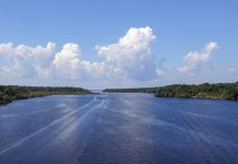 Jaraqui é reconhecido como patrimônio cultural imaterial do Amazonas jaraqui-e-reconhecido-como-patrimonio-cultural-imaterial-do-amazonas