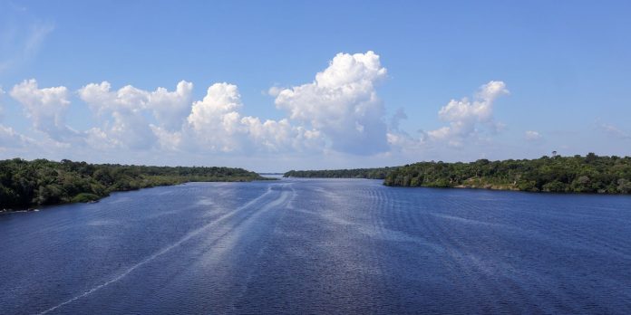 jaraqui-e-reconhecido-como-patrimonio-cultural-imaterial-do-amazonas jaraqui-e-reconhecido-como-patrimonio-cultural-imaterial-do-amazonas