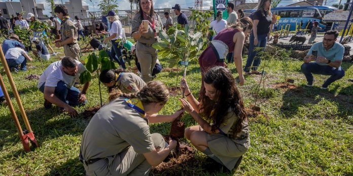 cop15-no-brasil-promove-conexao-entre-povos-e-territorios