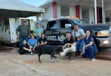 Mutirão amplia acesso à castração e reforça políticas de bem-estar animal em Orizona mutirao-amplia-acesso-a-castracao-e-reforca-politicas-de-bem-estar-animal-em-orizona