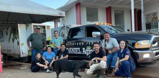 Mutirão amplia acesso à castração e reforça políticas de bem-estar animal em Orizona mutirao-amplia-acesso-a-castracao-e-reforca-politicas-de-bem-estar-animal-em-orizona