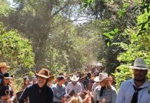 Catalão: Cavalgada da Cisterna reúne grande público e celebra tradições rurais catalao:-cavalgada-da-cisterna-reune-grande-publico-e-celebra-tradicoes-rurais