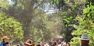 Catalão: Cavalgada da Cisterna reúne grande público e celebra tradições rurais catalao:-cavalgada-da-cisterna-reune-grande-publico-e-celebra-tradicoes-rurais