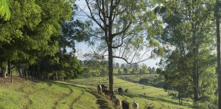 Fazenda em Pardinho (SP) terá trilha com degustação de queijos e vinhos fazenda-em-pardinho-(sp)-tera-trilha-com-degustacao-de-queijos-e-vinhos