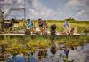 Fazenda nos Everglades permite ver aligátores, primos americanos dos jacarés fazenda-nos-everglades-permite-ver-aligatores,-primos-americanos-dos-jacares