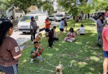 Forte terremoto sacode o Panamá; operações do canal seguem normalmente forte-terremoto-sacode-o-panama;-operacoes-do-canal-seguem-normalmente