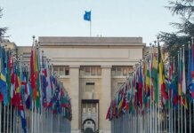 Pandemias: ONU aprova declaração por mais cooperação entre países pandemias:-onu-aprova-declaracao-por-mais-cooperacao-entre-paises