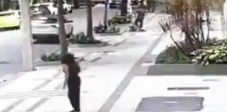 Professora aposentada da UFRJ é baleada em assalto na zona sul do Rio professora-aposentada-da-ufrj-e-baleada-em-assalto-na-zona-sul-do-rio