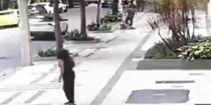 professora-aposentada-da-ufrj-e-baleada-em-assalto-na-zona-sul-do-rio