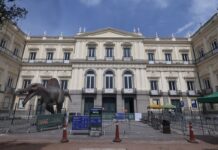 Museu da UFRJ irá receber mais R$ 10 milhões para restauração museu-da-ufrj-ira-receber-mais-r$-10-milhoes-para-restauracao