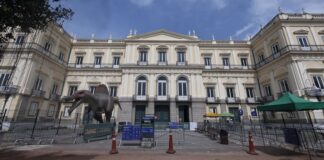 Museu da UFRJ irá receber mais R$ 10 milhões para restauração museu-da-ufrj-ira-receber-mais-r$-10-milhoes-para-restauracao