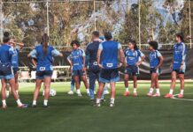 Estreante, Cruzeiro será 15º brasileiro na Libertadores Feminina estreante,-cruzeiro-sera-15o-brasileiro-na-libertadores-feminina