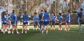 Estreante, Cruzeiro será 15º brasileiro na Libertadores Feminina estreante,-cruzeiro-sera-15o-brasileiro-na-libertadores-feminina